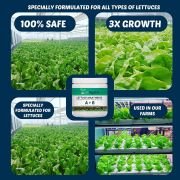 Lettuce Crop A&B Nutrients (Granule Form) 250 gm