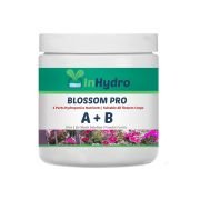 Blossom A&B Nutrients (Granule Form) 250 gm