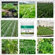 Leafy Crop A&B Nutrients (Granule Form) 250 gm