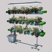 48 Plant Indoor Hydroponic System