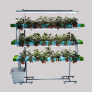 48 Plant Indoor Hydroponic System