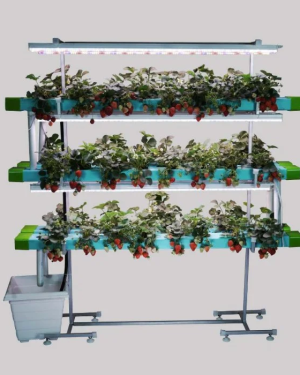 48 Plant Indoor Hydroponic System