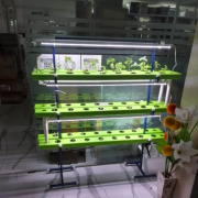 48 Plant Indoor Hydroponic System