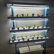 48 Plant Indoor Hydroponic System