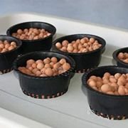 2-Inch Net Pots – Hydroponics & Aquaponics 100 pcs