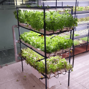 96 Plant Indoor Hydroponic System