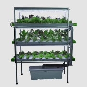 96 Plant Indoor Hydroponic System