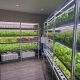 Indoor Hydroponics