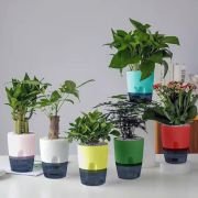 Self-Watering hydroponics Pots, for Home and Office, Pot Size: 18 * 15 Cm