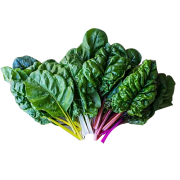 Mix Swiss chard – Hydroponically Grown 100g