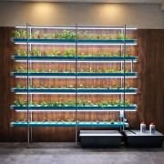 96 plants indoor NFT hydroponics setup with nutrient film technique for leafy greens