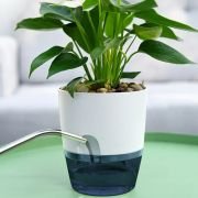 Self-Watering Hydroponic Pots-18x15cm Home-Office