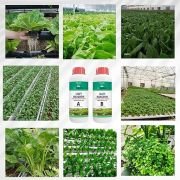 Maximum Grow Leafy Nutrient For all Leafy Crops