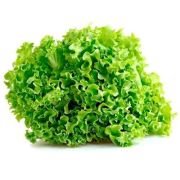 Lettuce Locarno – Hydroponically Grown (100-120gm) 1 pcs