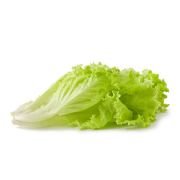 Romaine Lettuce – Hydroponically (120 – 150 gm) 1pcs