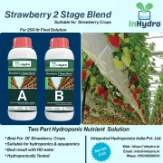 Berries Two Part Nutrient Ideal for Plants