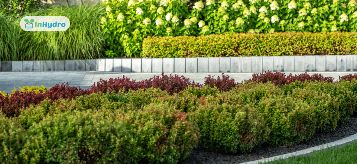 How to Plan a Successful Horticulture and Landscaping Project for Your Property