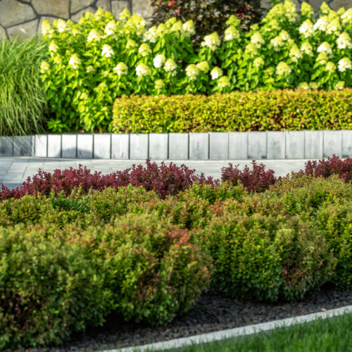 How to Plan a Successful Horticulture and Landscaping Project for Your Property