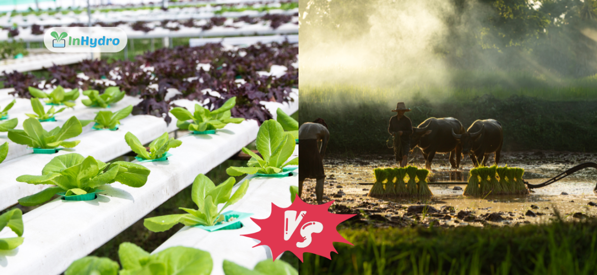 Hydroponics vs Traditional Farming_ Why Hydroponic Projects are the Future of Agriculture