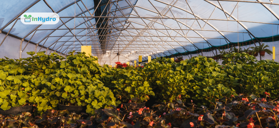 Benefits of Installing a Greenhouse for Sustainable Farming