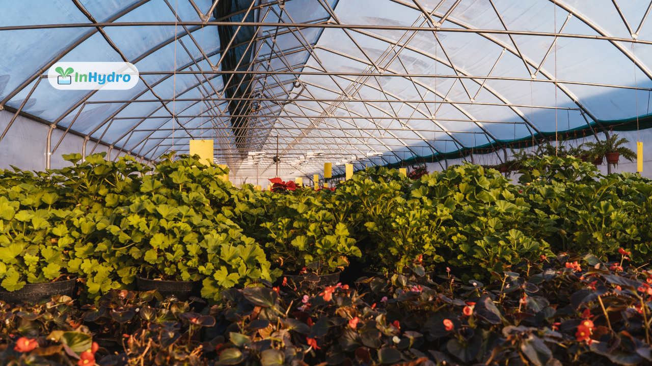 Benefits of Installing a Greenhouse for Sustainable Farming