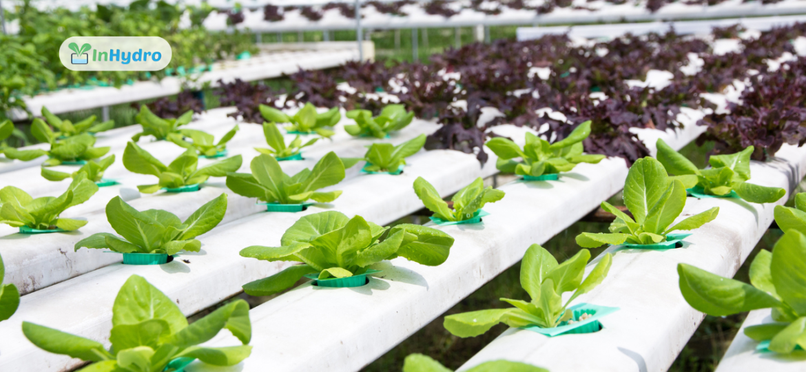 Top 5 Essential Farm Utilities for Efficient Hydroponic Farming