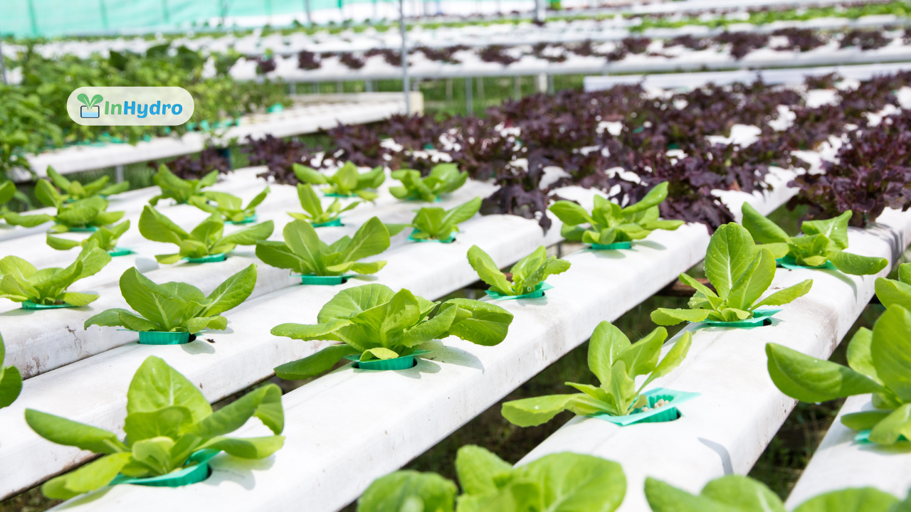 Top 5 Essential Farm Utilities for Efficient Hydroponic Farming