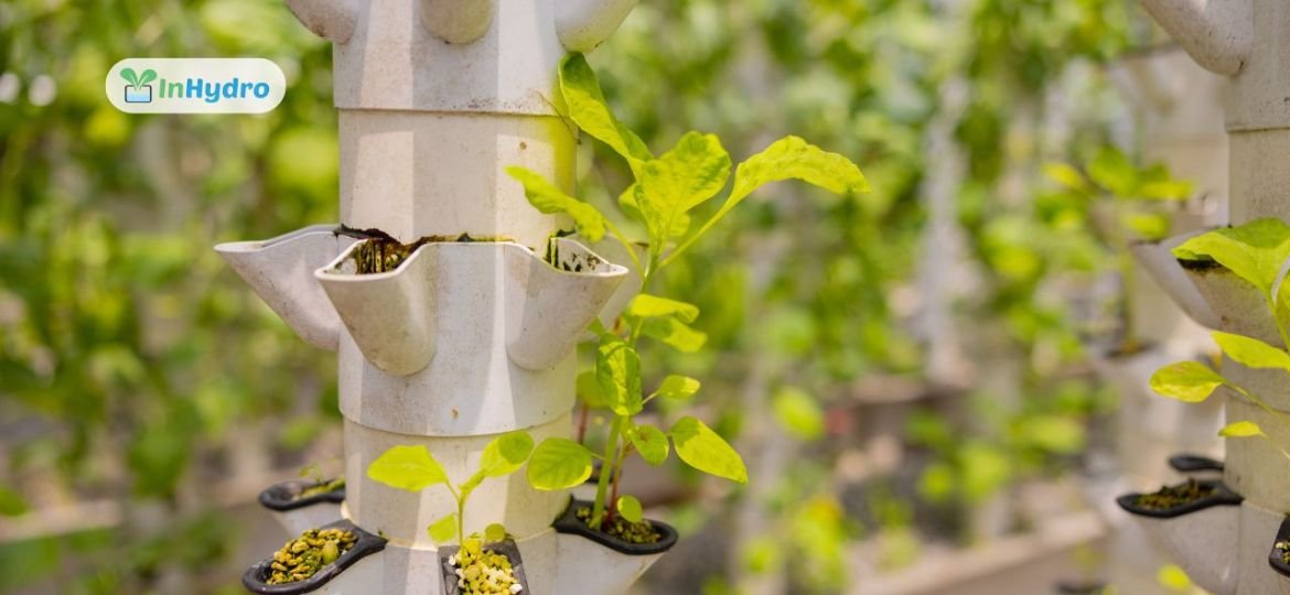 Grow Towers Optimize Space with Vertical Hydroponics