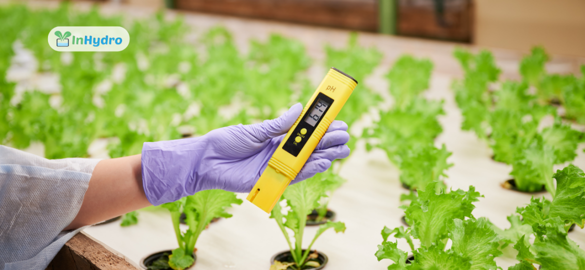 Set Up Smart Sensors for Hydroponic Farms