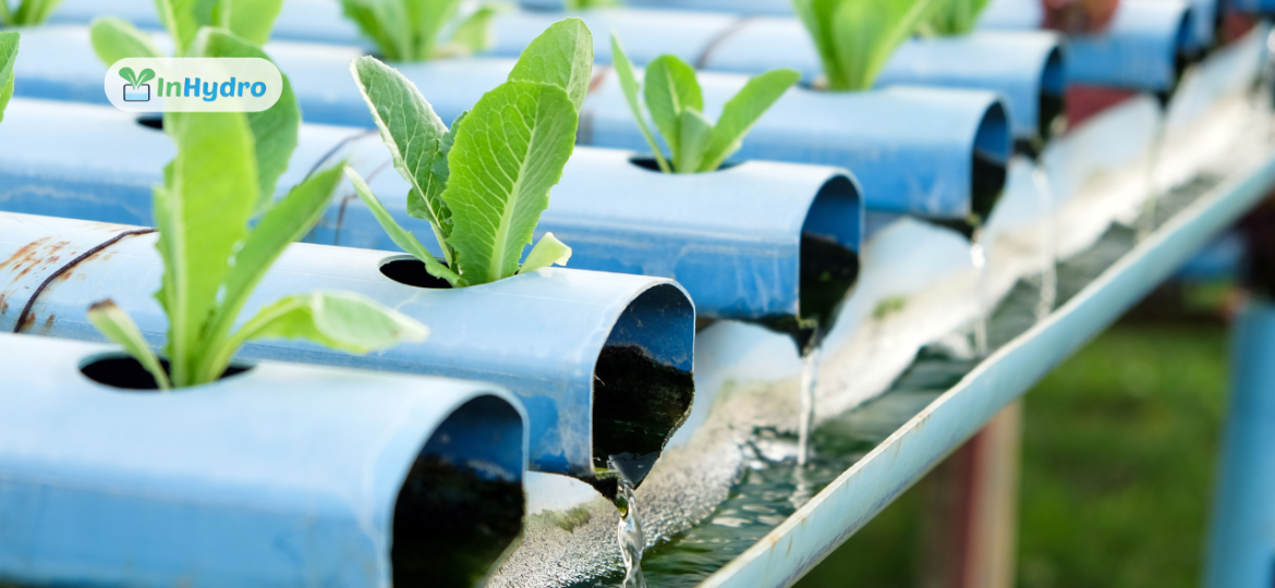 Sustainable Water Management Techniques for Farms