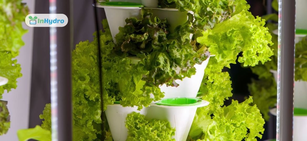 Vertical Hydroponic Systems Benefits for Urban Farming