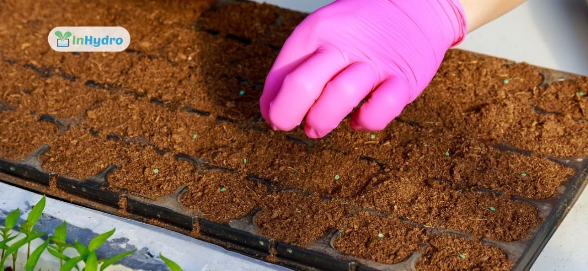 Why Coco Peat is a Game-Changer for Hydroponics