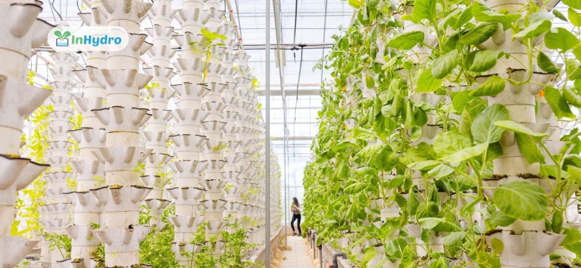 Growing More with Less_ How InHydro’s Vertical Towers Optimize Crop Yield