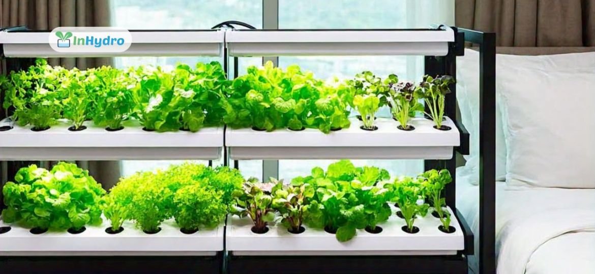 Hydroponics A Green Marketing Edge for Eco-Friendly Hotels