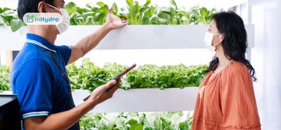 Common Hydroponic Farming Mistakes and How to Avoid Them