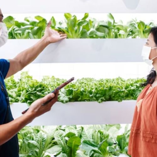 Common Hydroponic Farming Mistakes and How to Avoid Them