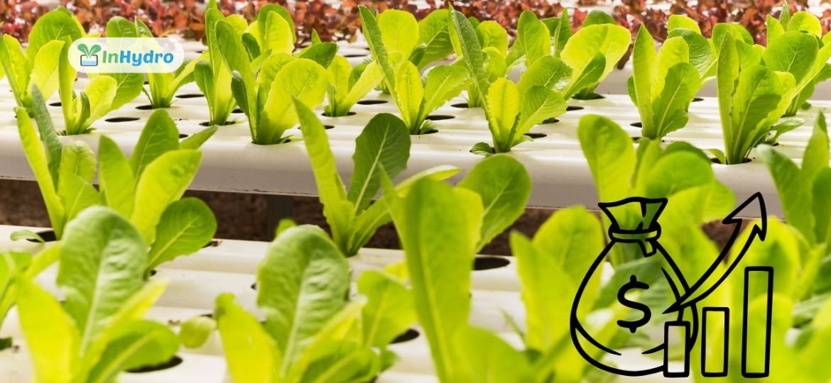 How to Secure Government Grants & Subsidies for Hydroponic Farming