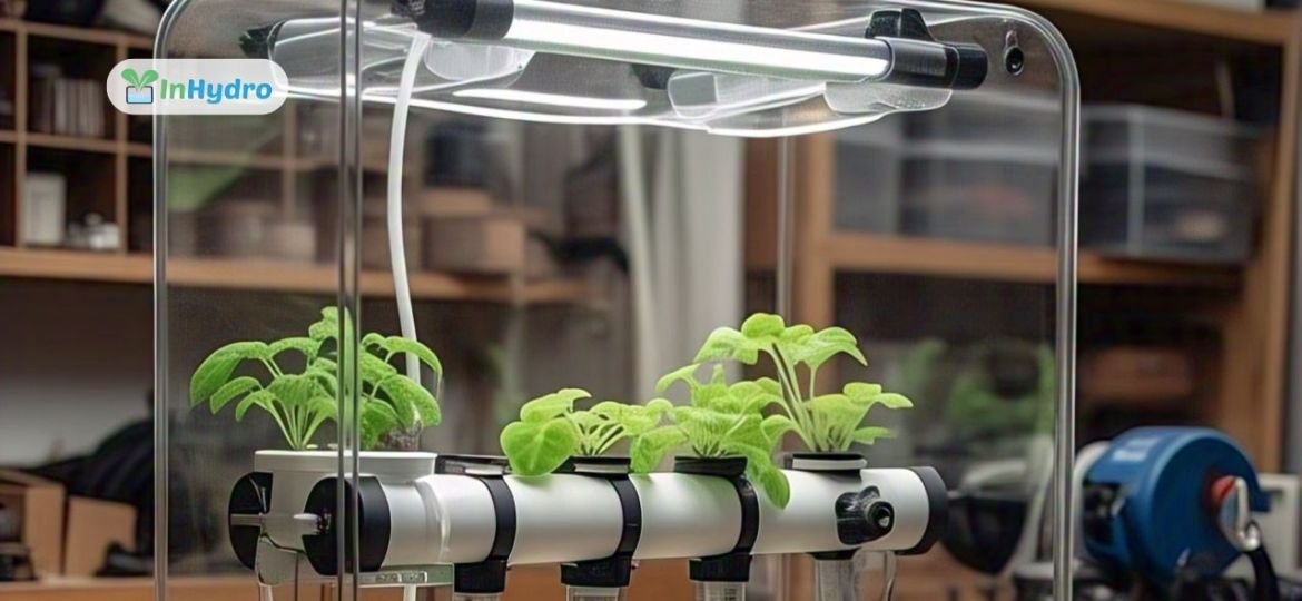 Building a Mini Hydroponic System: A Weekend DIY Project for Families