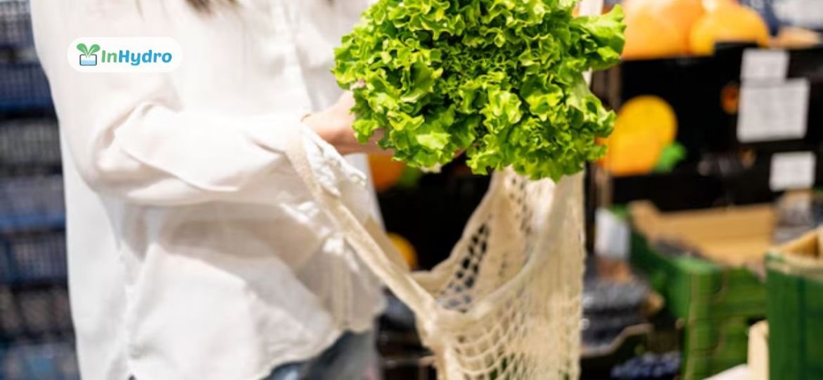 How Grocery Stores Are Adapting to the Rise of Hydroponically Grown Produce