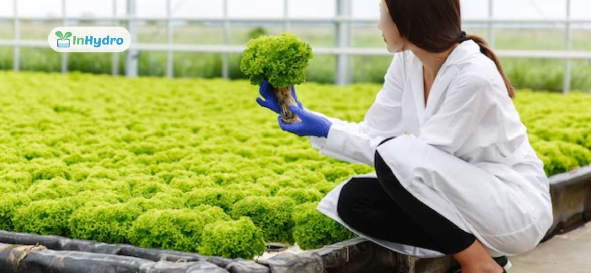 How to Secure Government Grants & Subsidies for Hydroponic Farming