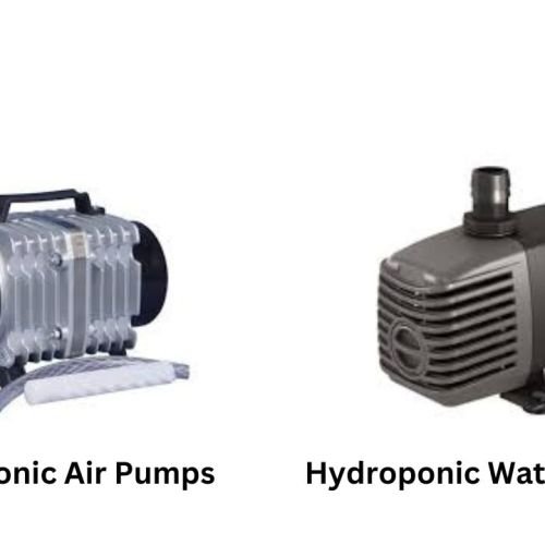 Hydroponic Air Pumps vs. Water Pumps: Which One Do You Really Need?