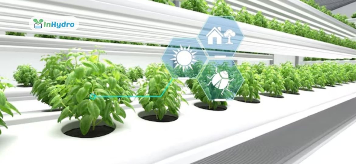 Emerging Hydroponics Trends Shaping the Future of Farming