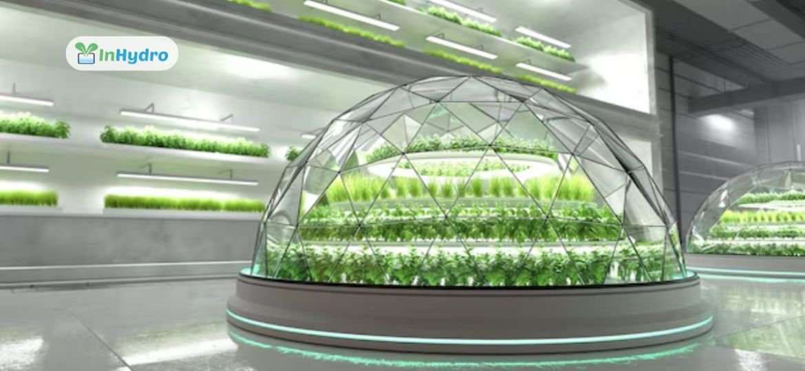 Next-Gen Hydroponic Systems_ What’s New in Vertical and Smart Farming