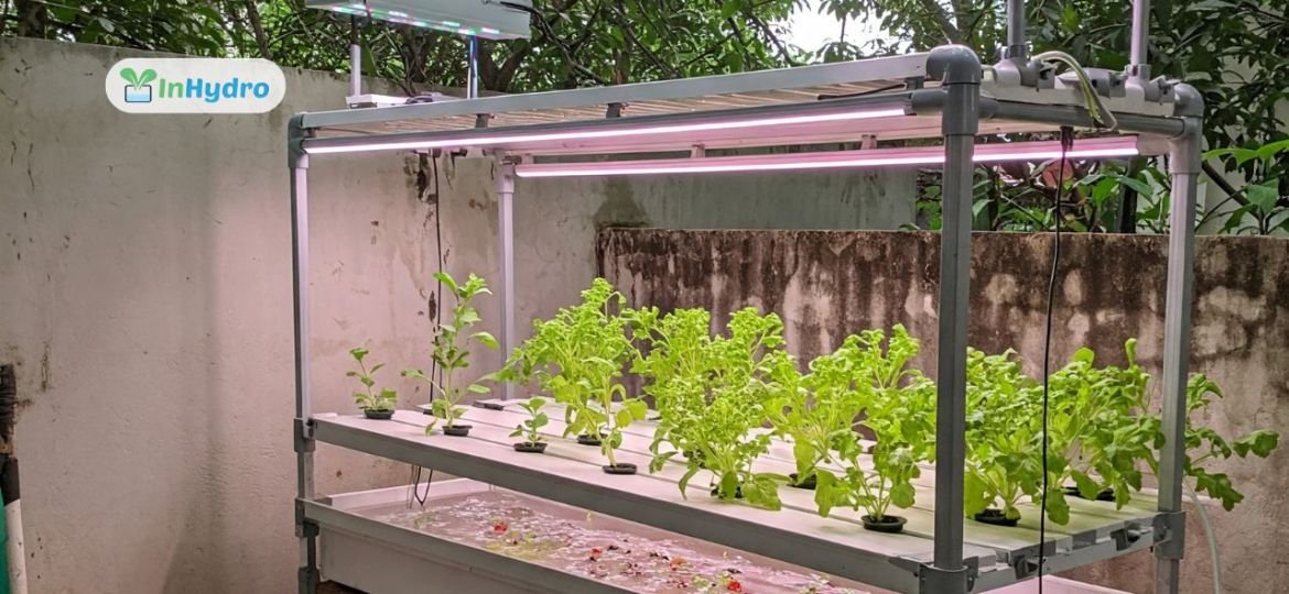 How to Build a Low-Cost Hydroponic System at Home in India