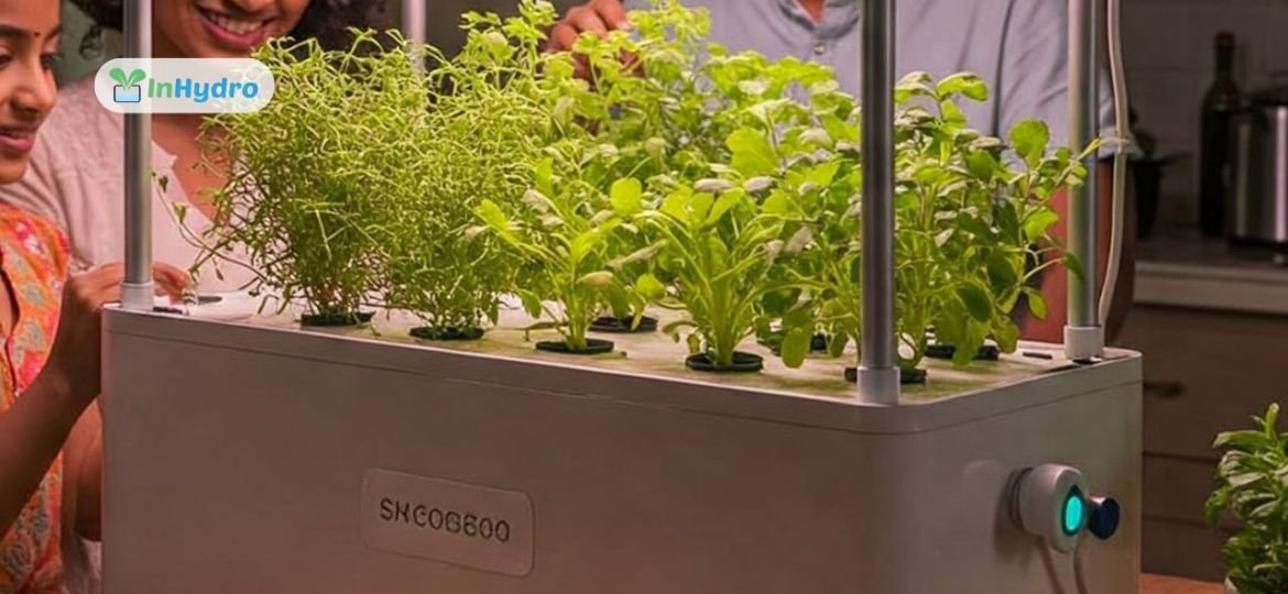 Hydroponic Kit for Urban Indian Homes: What to Look For