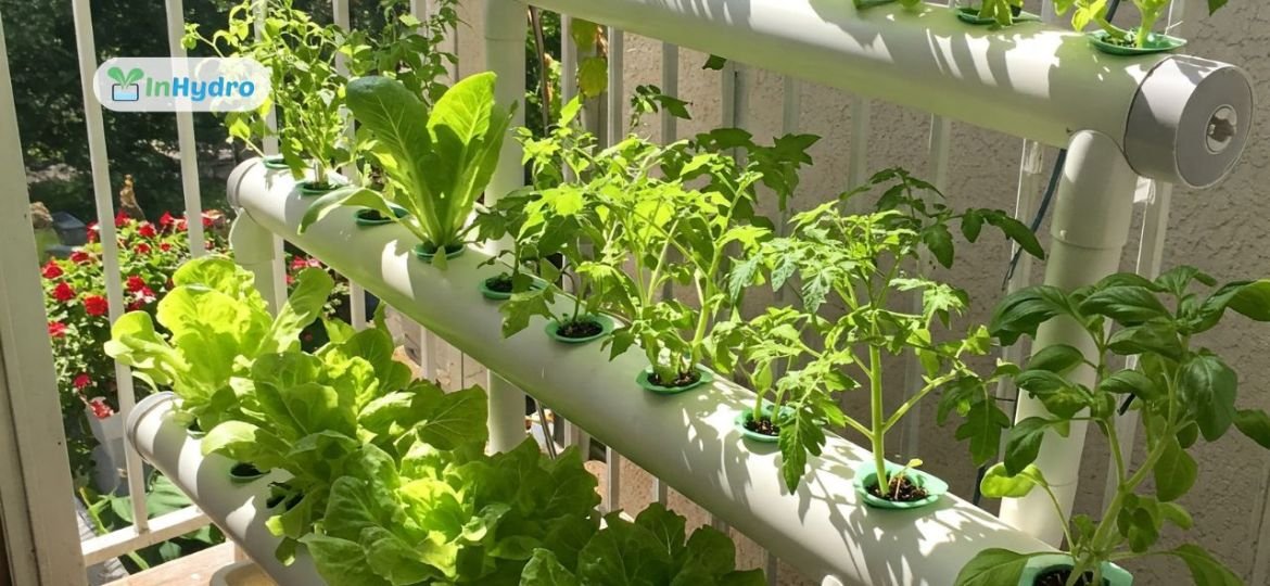 Hydroponics in Smart Cities: Urban Farming Rise