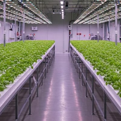 Water Conservation in Controlled Environment Agriculture (CEA) InHydro’s Approach