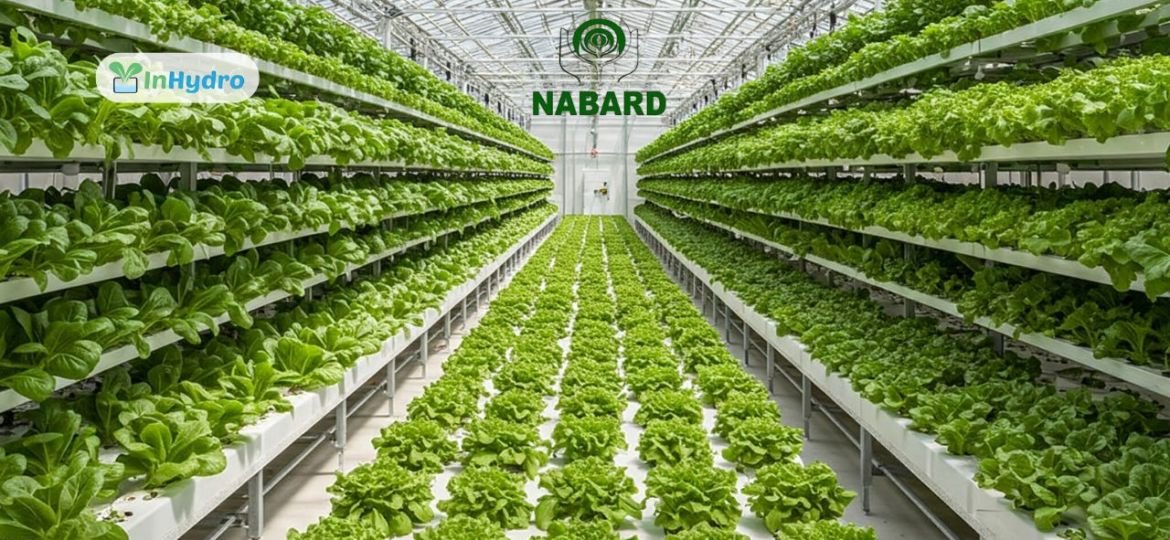 How to Apply for NABARD Subsidy for Hydroponic Greenhouses