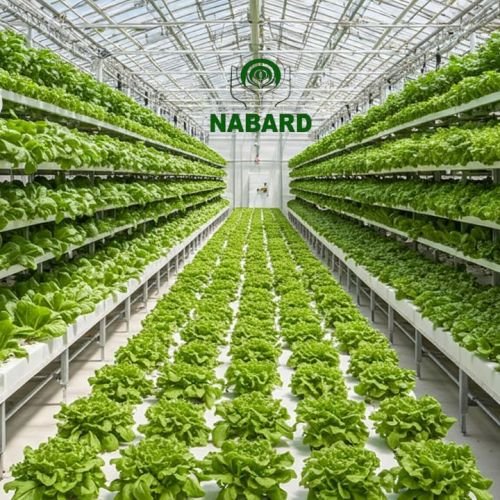 How to Apply for NABARD Subsidy for Hydroponic Greenhouses