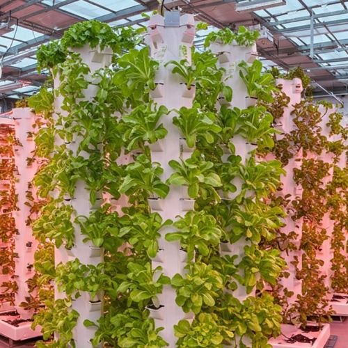 Hydroponic Systems in 2025: Which One Fits Your Crop & Business Model?